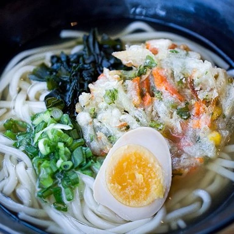 Delicious Udon Noodles Await